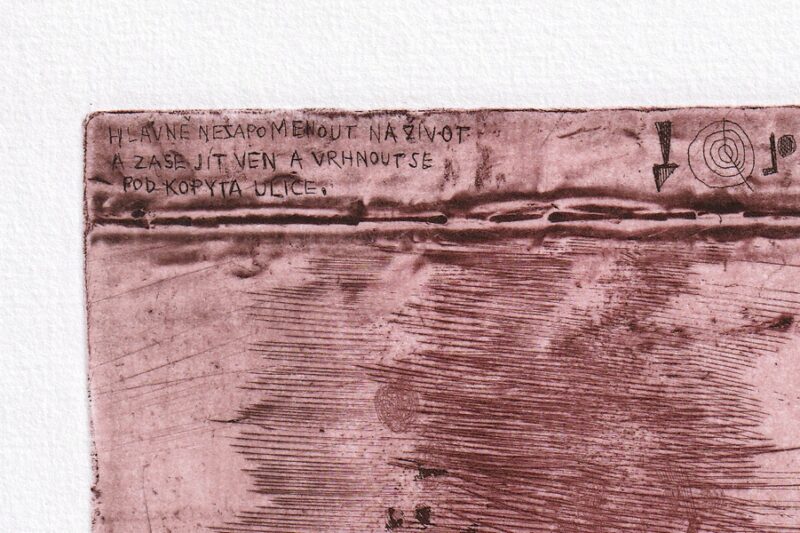 Detail textu