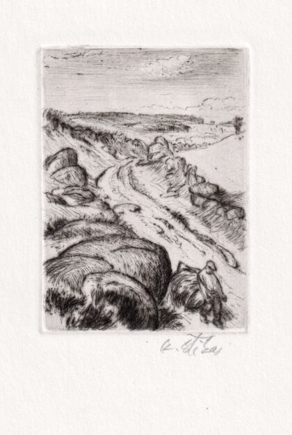 Grafický list - detail tisku